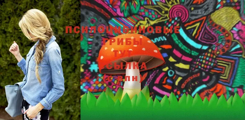 мега зеркало  Гурьевск  Псилоцибиновые грибы Magic Shrooms 